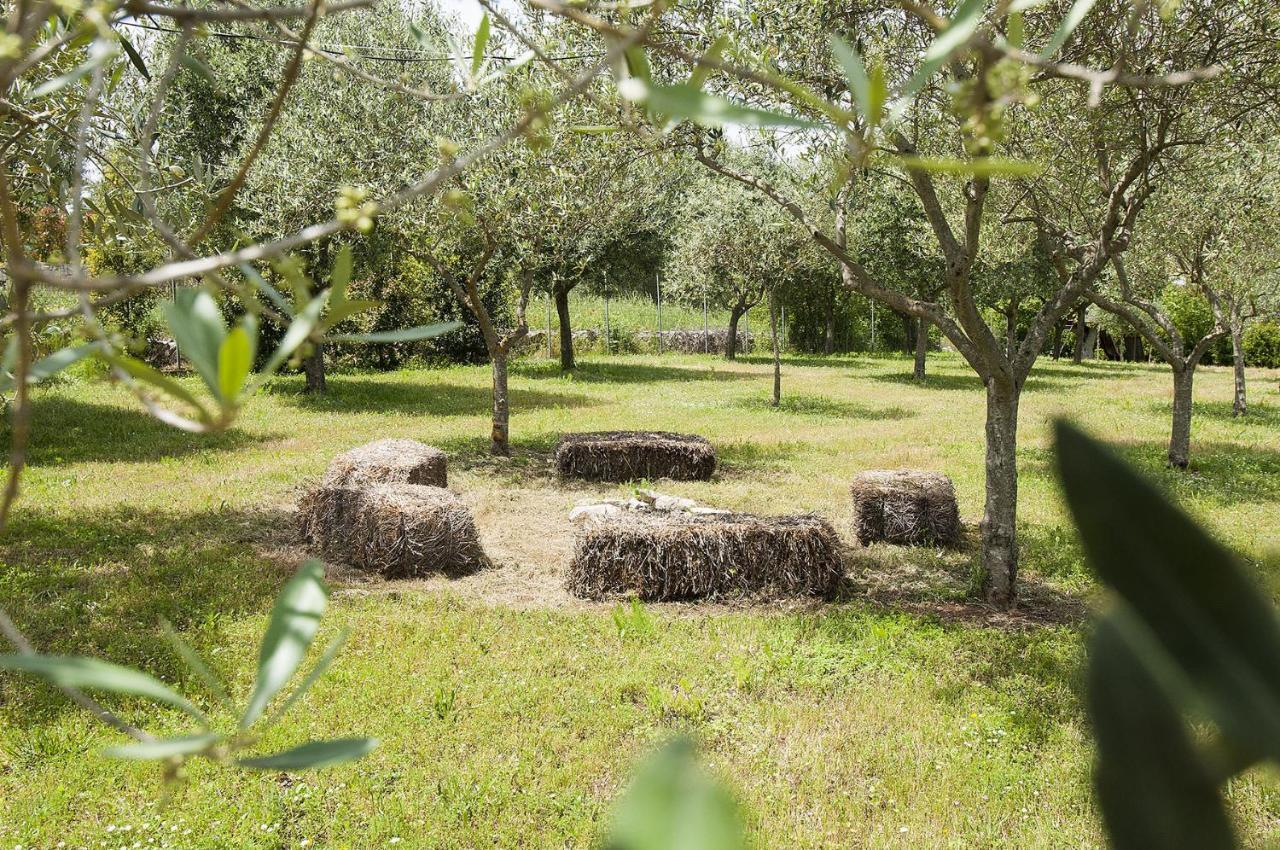 B&B Trulli Valle D'Itria Martina Franca Exteriér fotografie