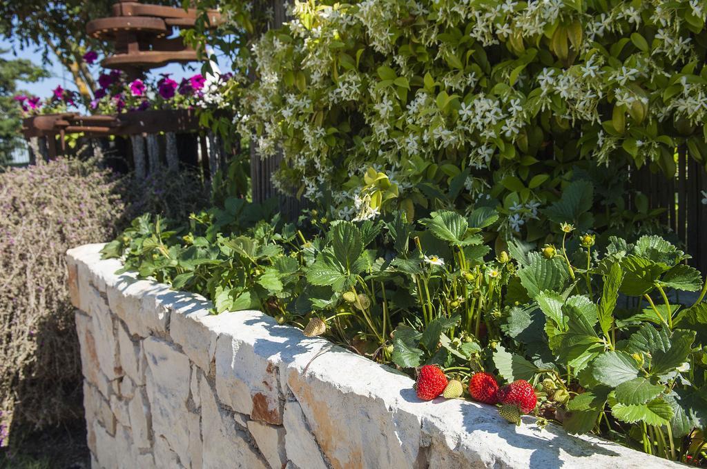 B&B Trulli Valle D'Itria Martina Franca Exteriér fotografie